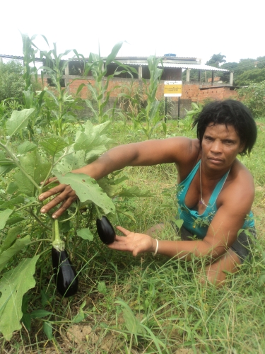 Cooperative member Rosinia Soares displays the aubergines growing in her garden in Parque Genesiano da Luz.  / Credit:Fabiana Frayssinet/IPS 